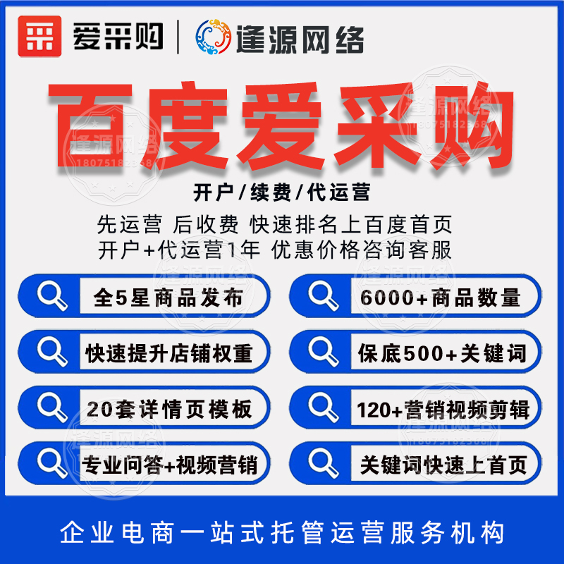 爱采购代运营服务商哪家好【逢源网络19310109841】