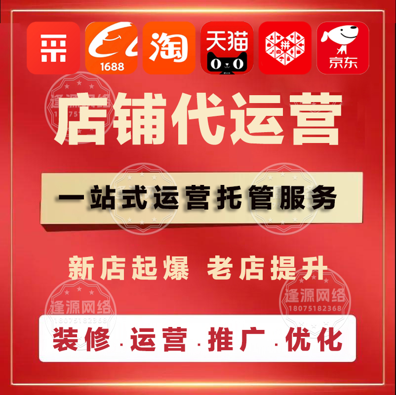 电商代运营 vs 自建团队：成本与效果的终极对比​